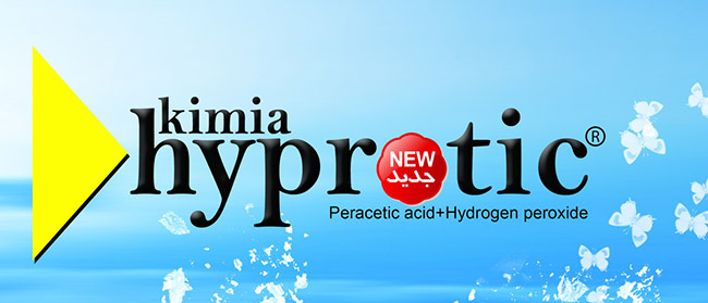 محصولات جدید