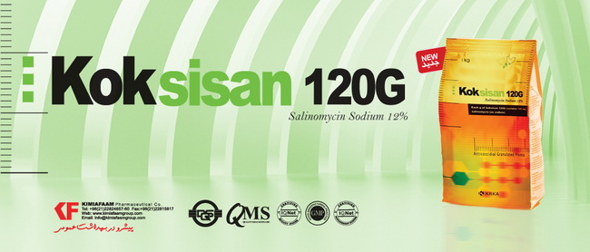 محصولات جدید