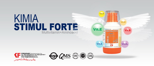 محصولات جدید